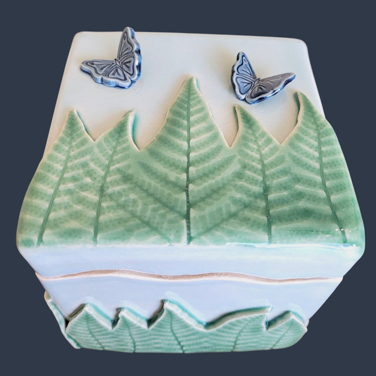 Ceramic box with fern design and butterfly decorations on a dark background