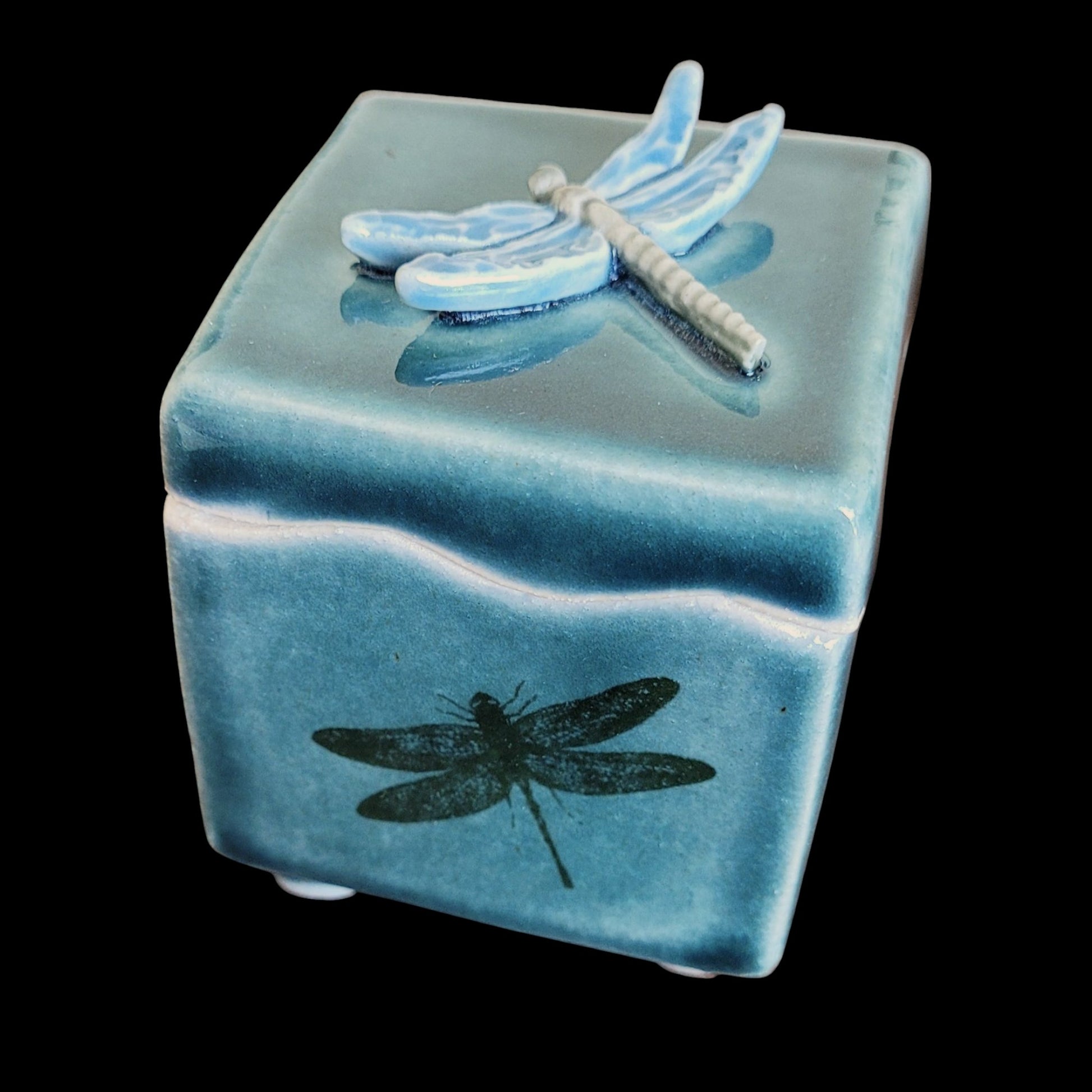 tiny dragonfly ceramic box on a black background